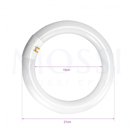 T9 Tubo circular fluorescente G10q, 22W, luz fria 6500K, 220-240V, 2100lm, 50Hz, 30 cm.